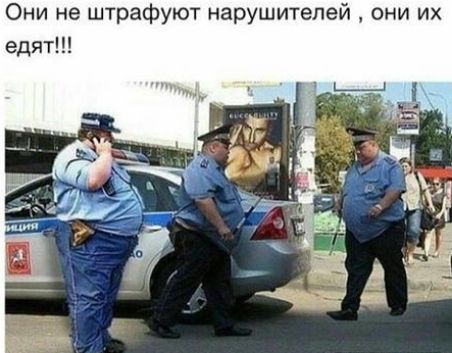 Они не штрафуют наруш пей они их едят