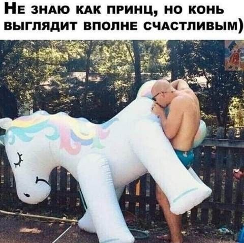 НЕ ЗНАЮ КАК ПРИНЦ НО КОНЬ