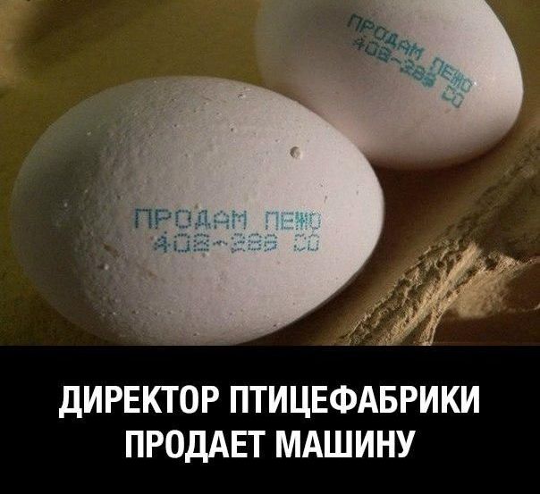 дИРЕКТОР ПТИЦЕФАБРИКИ ПРОДАЕТ МАШИНУ