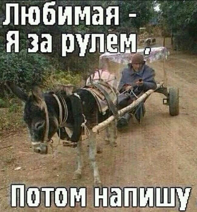 Любимая _ Я за Леща А У г Пот0м напишу