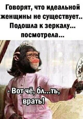 Говорят что идеальной женщины не существует Подошла к зеркалу посмотрела
