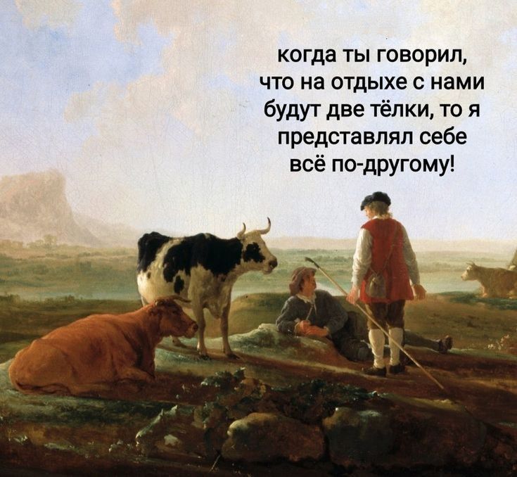 когда ТЫ ГОВОРИП ЧТО на ОТДЫХЕ С нами будут две тёлки то я предсгавлял себе всё по дРУГому