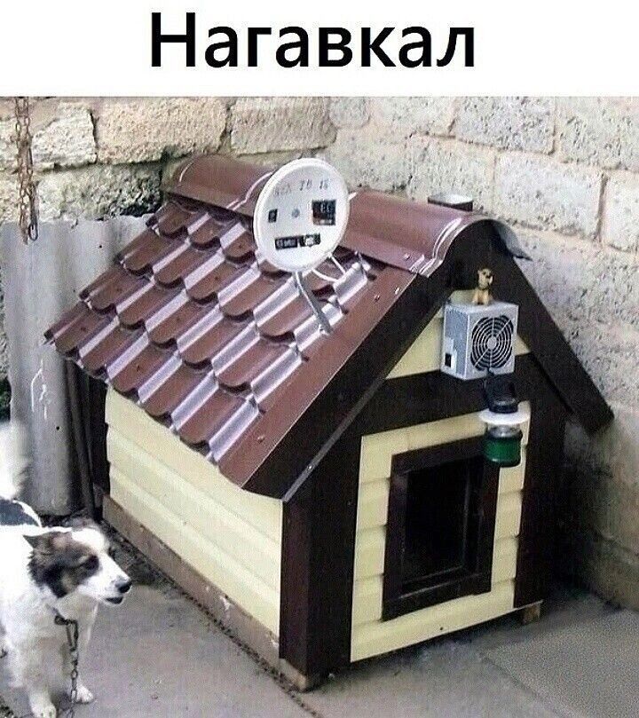Нагавкал
