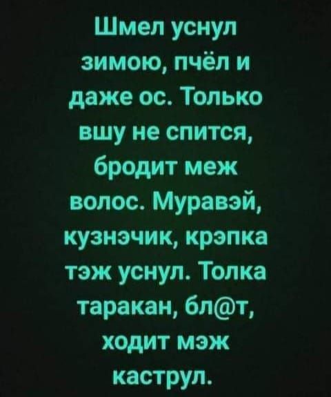 Шмел уснул зимою пчёл и даже ос Только вшу не спится бродит меж волос Муравэй кузнэчик крэпка тэж уснул Топка таракан бпт ходит мэж каструп