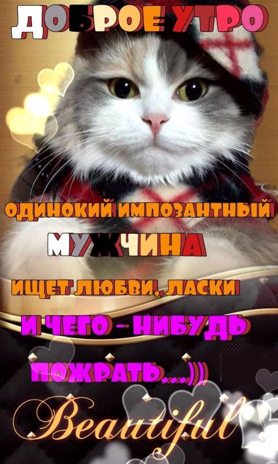 ь 9 аОЙИ ДАЛ АСИ