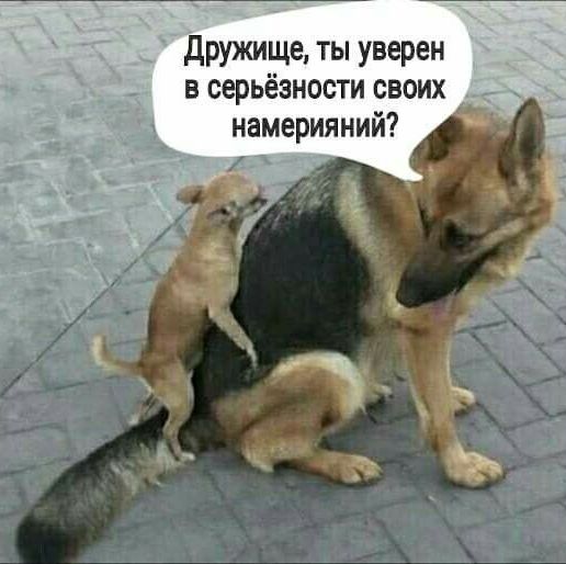 дружище ты уверен в серьёзности своих намерияний