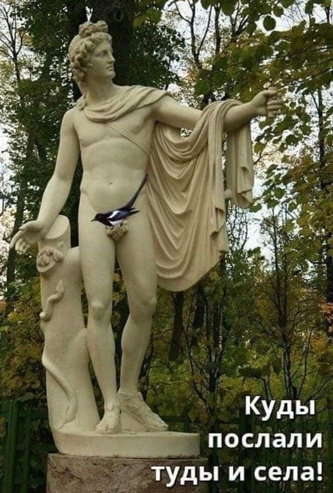 послали туды и села