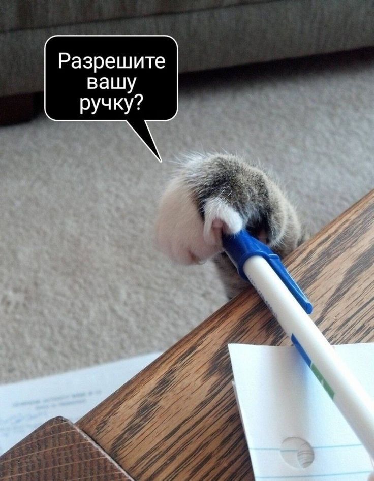 Разрешите вашу ручку