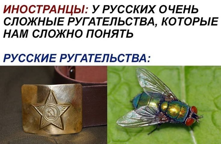 ИНОСТРАНЦЫ УРУССКИХ ОЧЕНЬ СЛОЖНЫЕ РУГАТЕЛЬСТВА КОТОРЫЕ НАМ СЛОЖНО ПОНЯТЬ РУССКИЕ РУГАТЕЛЬСТВА