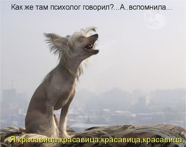 Как же там психопсг говорил А вспомнила