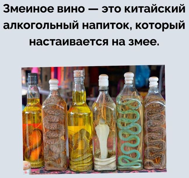 Змеиное вино это китайский алкогольный напиток который настаивается на змее