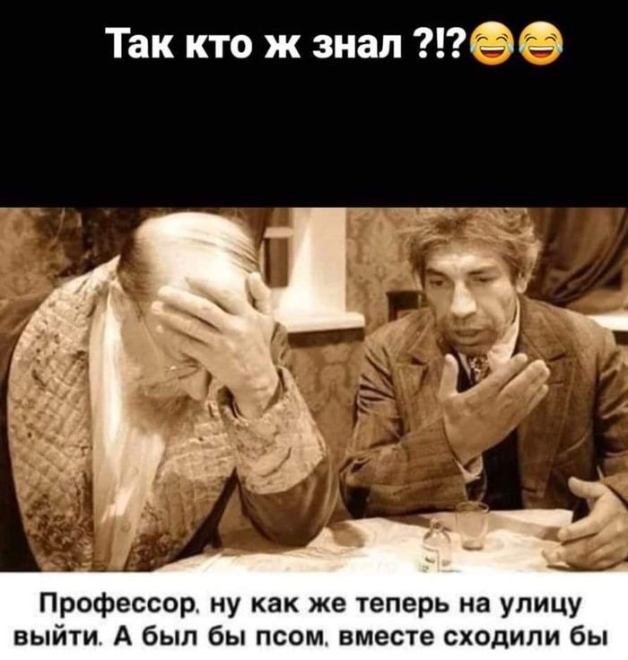 Так кто ж знал Профессор ну как же теперь на улицу выйти А был бы псим вмепе сходили бы