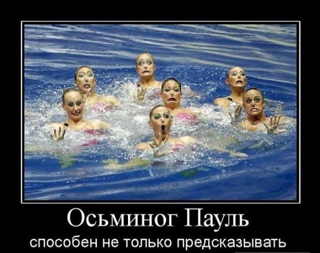 Осьминог Пауль способен не ТОЛЬКО предсказывать