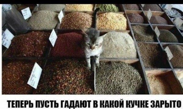 ТЕПЕРЬ ППШ Г 1 ЮТ В Ш ИУЧИЕ ЗПРЬПП