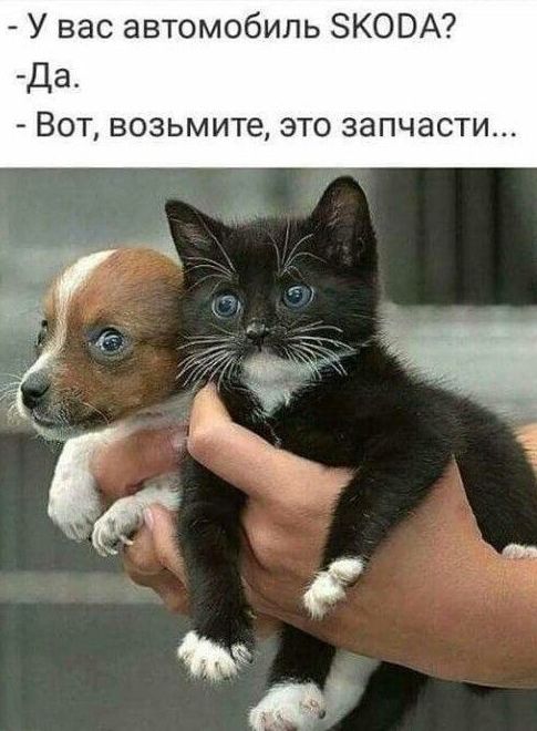 У вас автомобиль ЗКОВА Да Вот возьмите это запчасти