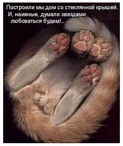 Ппсгроипи мы дом со стеклянной крышей И наивные думали звездами любоваться будем