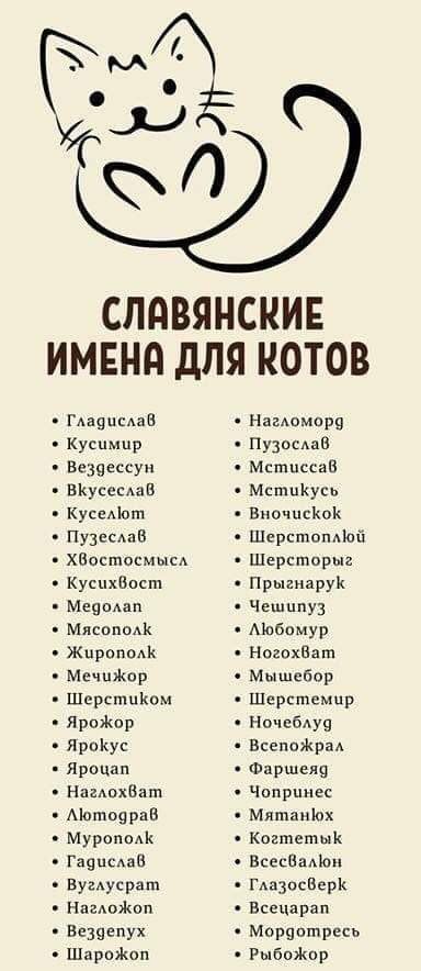 Рчё кЛ СЛПВЯНСКИЕ ИМЕНА дЛЯ КОТОВ Гмщисдав Кусцмпр Ве39ессуи ВісусшмаВ Куседют Пузисдав ХВосшосмысд Куспхвост Мечом Мясоподк Жироподк МечпЖпр Шерсшціюм ЯроЖор ЯроКус яроцпп НпаАохВаш Мотоерав Мурано Гацпсдаи Вуалусраш НагАоЖоп Еезпепух ШароЖоп Намомору Пловдив Матиссав МстиКусь ВночпсКоК Шсрстопдюй Шерсторыа ПрыгиаруК Чсшппуз Мобпмур НогохВат Мышебор Шерстемпр Ночебду9 ВсепоЖраА Фаршеяц Чопрцпес М