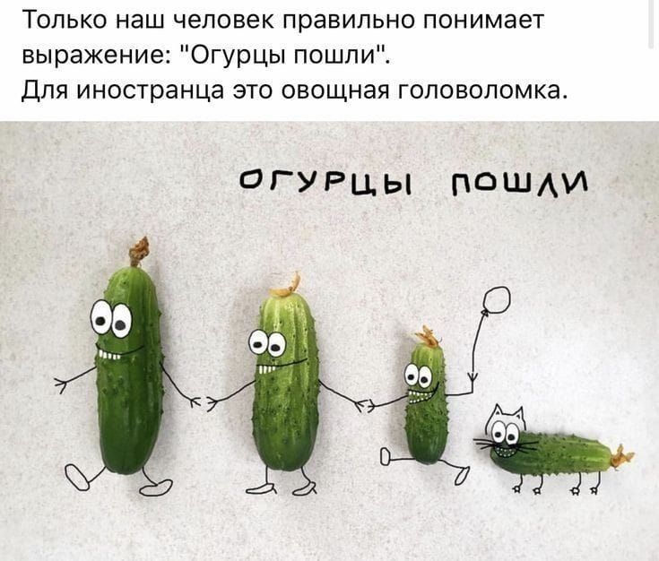 Только наш человек правильно понимает выражение Огурцы пошли Для иностранца это овощная головоломка ОГУРЦЫ ПОЩАИ