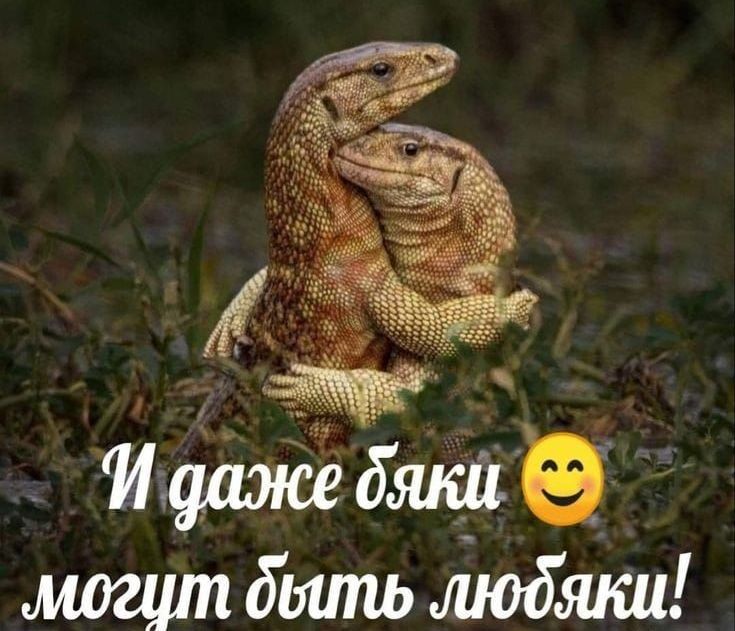 бшпь шобшш