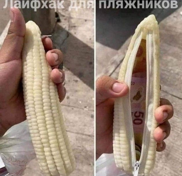 ПЛЯЖНИКОВ