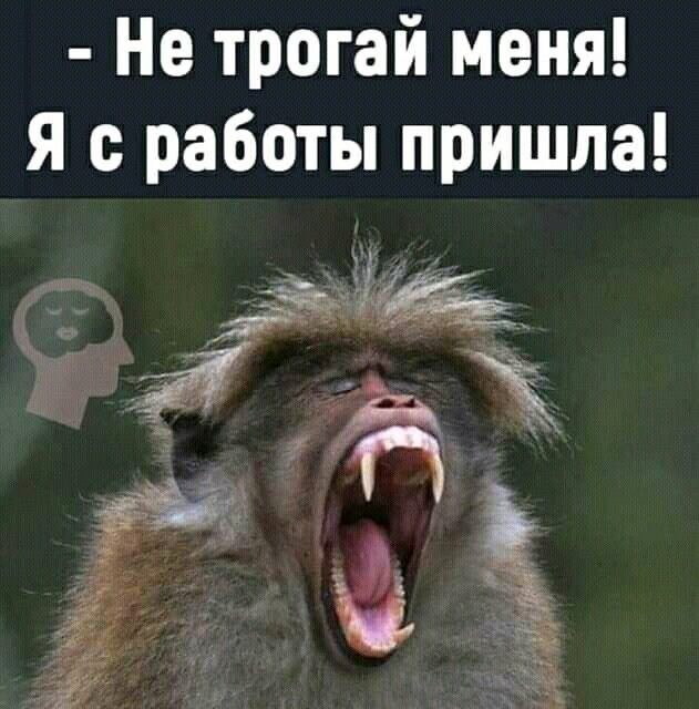 Не трогай меня Я с работы пришла