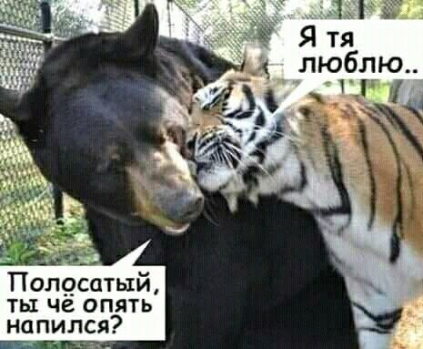 Пол9сатый ты че опять напился
