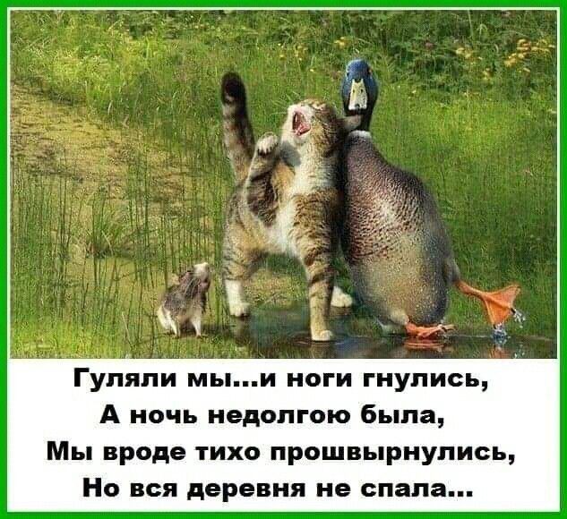 Гупяпи мыи ноги гиупись А ночь ивдопгою была Мы вроде тихо прошвырнупись Но вся деревня не спала