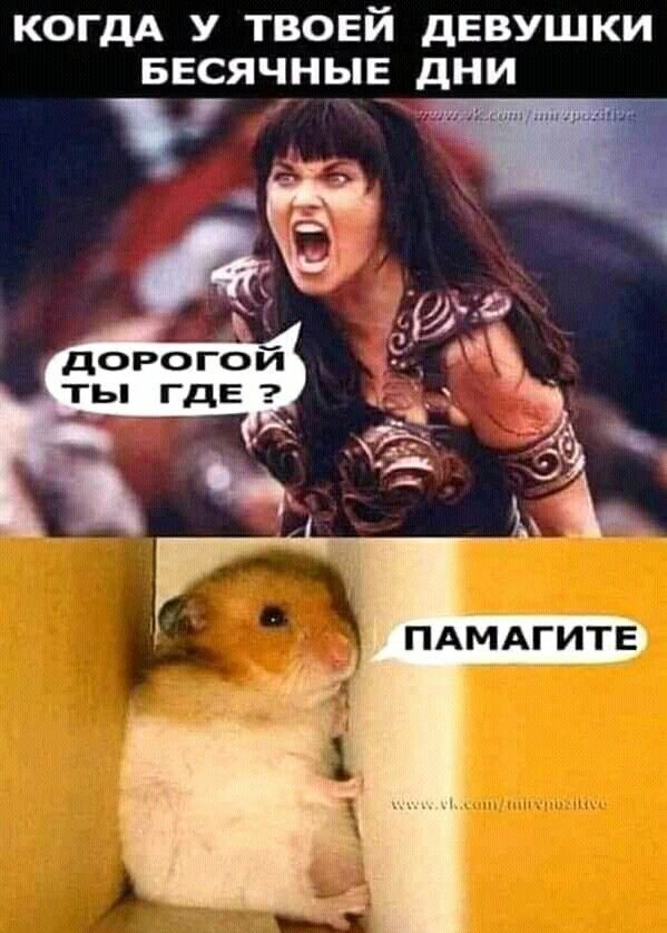 КОГДА У ТВОЕЙ дЕВУШКИ БЕСЯЧНЬЁ дНИ