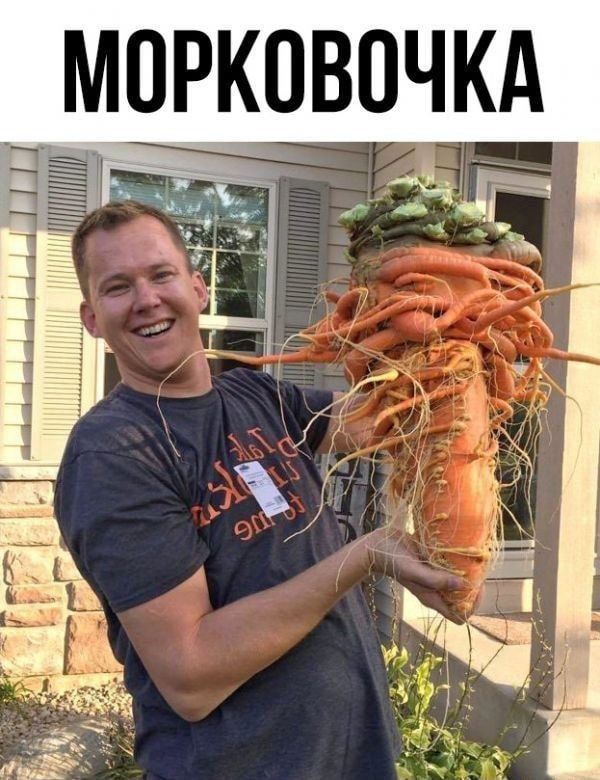 _ пркпвпчкд