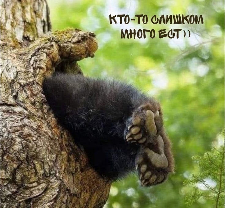 КТО Т0 ФМШКОМ МНОГОЕФТ