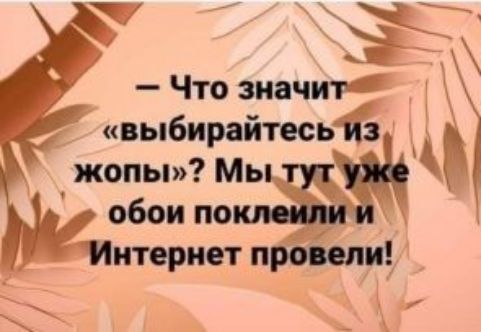 С Что значит выбирайтесь жопы обоим итернет провели