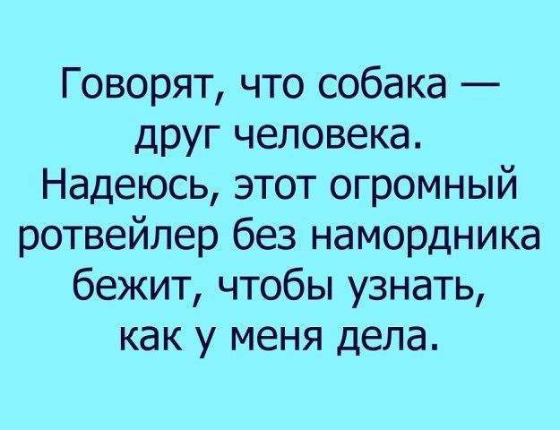 Говорят что собака друг человека Надеюсь этот огромный ротвейлер без намордника бежит чтобы узнать как у меня дела