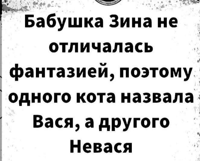 й тт ЬБабушка Зина не отличалась фантазией поэтому одного кота назвала Вася а другого Невася