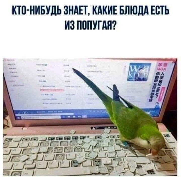 КТО НИБУДЬ ЗНАЕТ КАКИЕ БЛЮДА ЕСТЬ ИЗ ПППУПШ _Апьг Та_тптццпц ъ тт д34