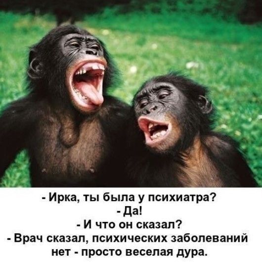 Ирка ты была у психиатра да И что он сказал Врач сказал психических заболеваний нет просто веселая дура