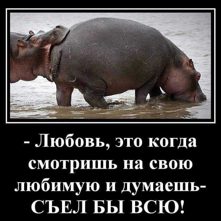 Любовь это когда смотришь на свою любимую и думаешь СЪЕЛ БЫ ВСЮ
