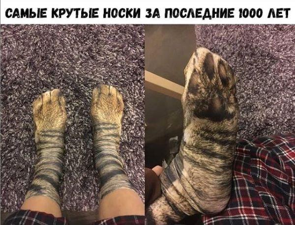 САМЫЕ КРУТЫЕ НОСКИ ЗА ПОСЛЕДНИЕ 1000 АЕТ