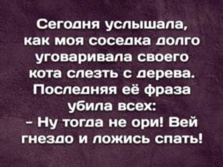 Сегодня услышала как моя соседка долго уговаривала своего кота слезть с дерева Последняя её фраза убила всех Ну тогда не ори Вей гнездо и ложись спать