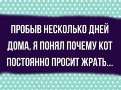 ПРОБЫВ НЕСКОЛЬКО ДНЕЙ ЦОМА Я ПОННЛ ПОЧЕМУ КОТ ПОСТОЯННО ПРООИТ ЖРАТЬ