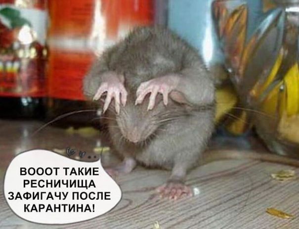 вооотпкиЕ РЕСНИЧИЩА _здоигдчу после КАРАНТИНА 77