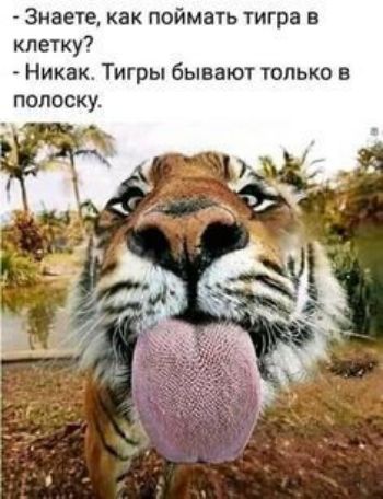 Знаете как поймать тигра в клетку Никак Тигры бывают только в полоску