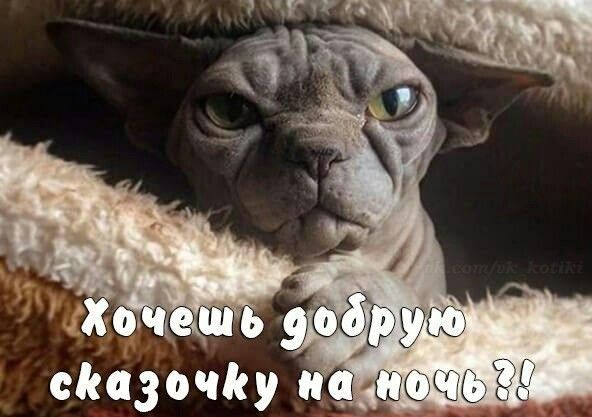 тт сіюзочісу