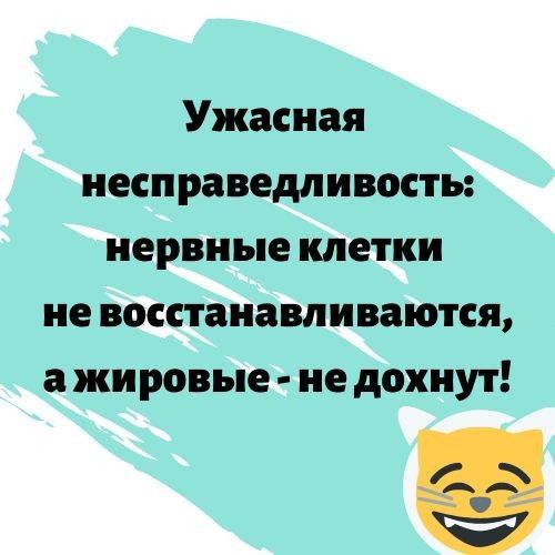 Ужасная несправедливость нервные клетки не восстанавливаются а жировые не дохнут