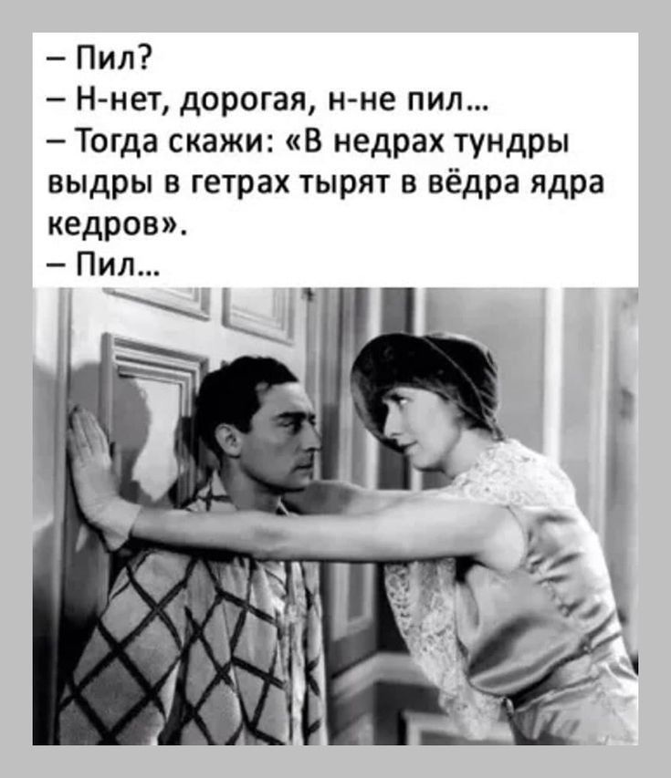 Пил Н нет дорогая н не пил Тогда скажи В недрах тундры выдры в гетрах тырят в вёдра ядра кедров Пил