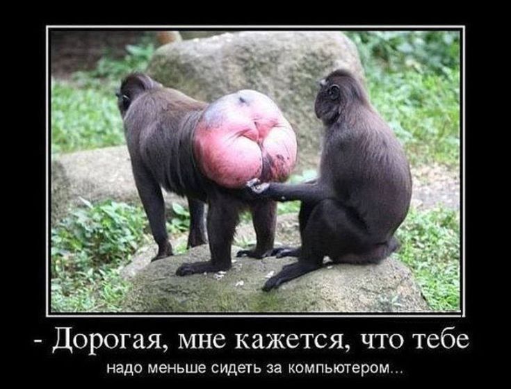 Дорогая мне кажется что тебе надо меньше сидеть за кемпышером