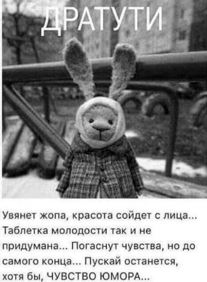 Увянет жопа красота сойдет с лица Таблетка молодости так и не придумана Погаснут чувства но до самого конца Пускай останется хотя бы ЧУВСТВО ЮМОРА
