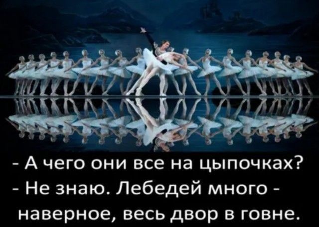 А чего они все на цыпочках Не знаю Лебедей много наверное весь двор в говне