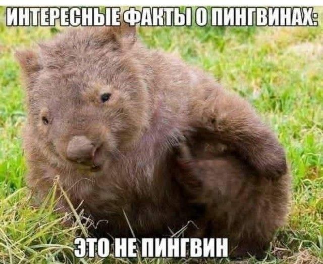 1_ЁЩ1ЫН