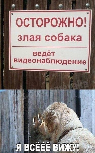 РОЖНО ака видеонаблюдение