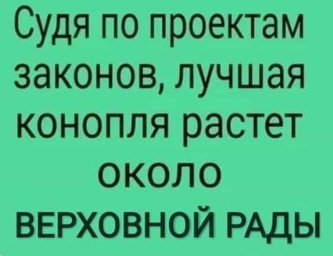 Судя по проектам законов лучшая конопля растет около верховной РАДЫ